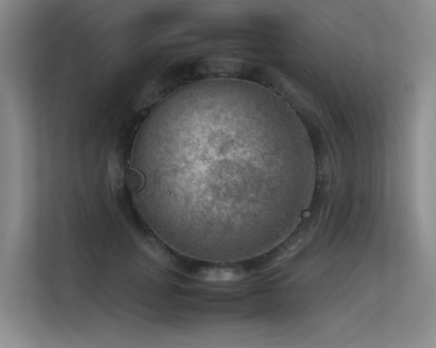 X0000113310751200909141311