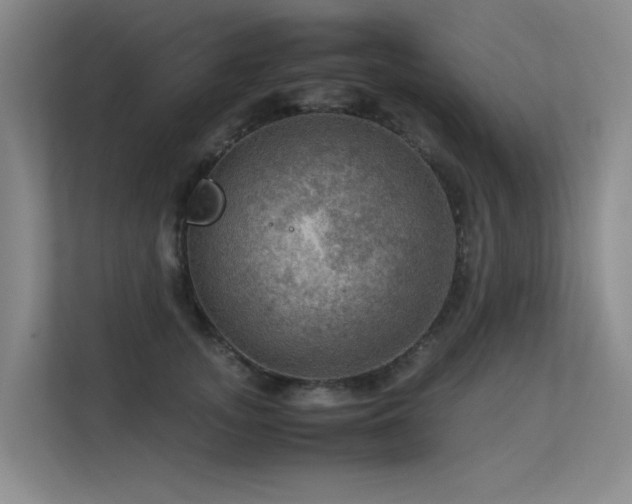 X0000113310755200909141311