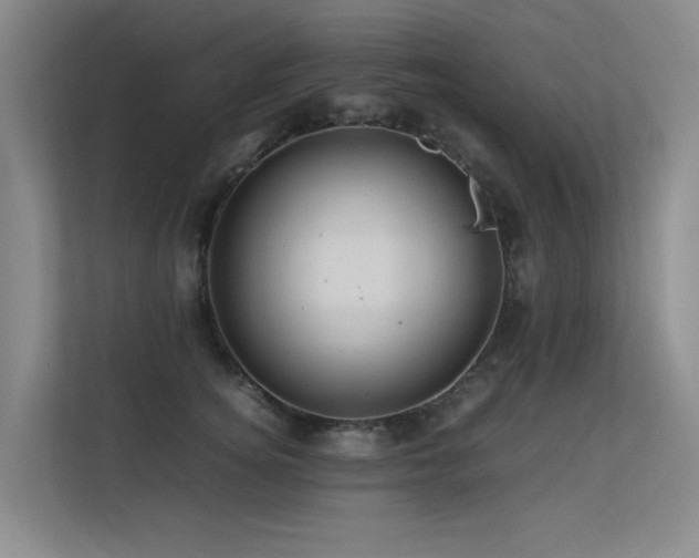 X0000113310756200909141311