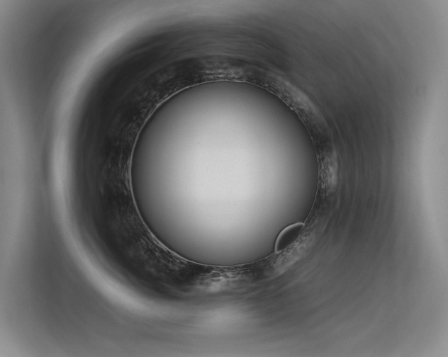 X0000113310764200909141312