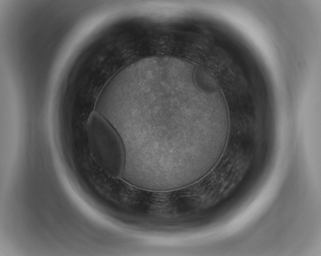 X0000113310766200909141312