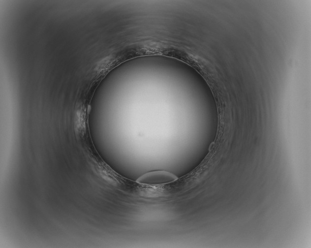 X0000113310768200909141312