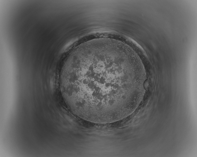 X0000113310775200909141311