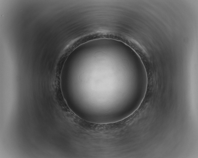 X0000113310776200909141311