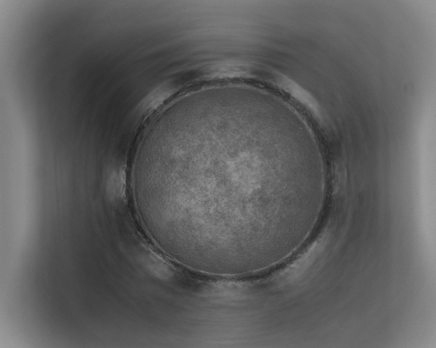 X0000113310777200909141311