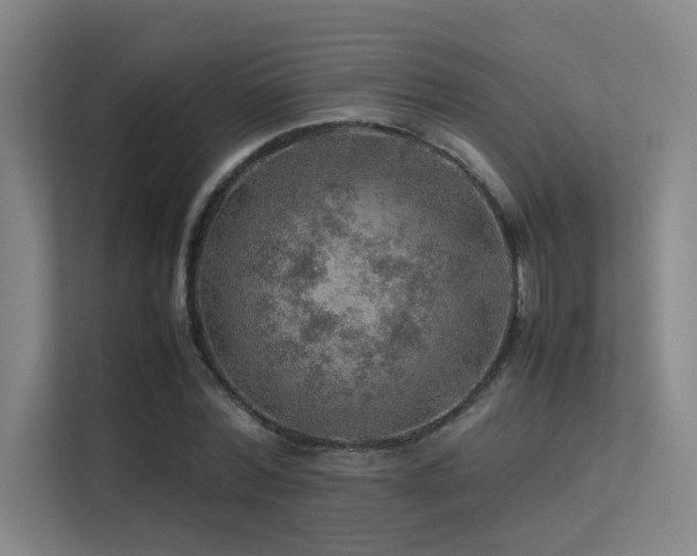 X0000113310780200909141311