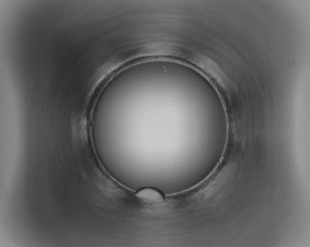 X0000113310781200909141311