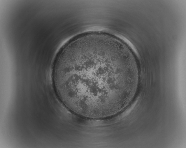 X0000113310783200909141311