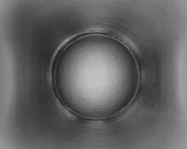 X0000113310784200909141311