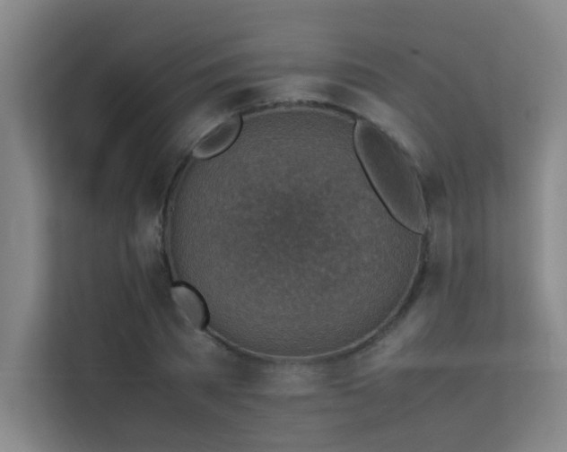 X0000113310785200909141311