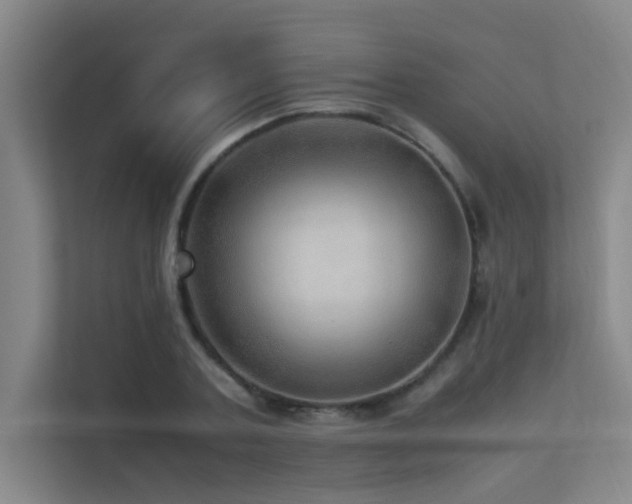 X0000113310787200909141311