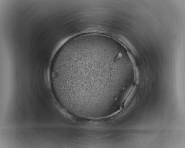 X0000113310788200909141311