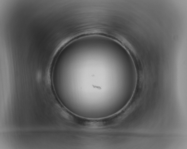 X0000113310789200909141311