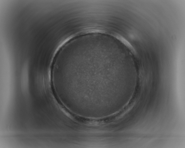 X0000113310790200909141311