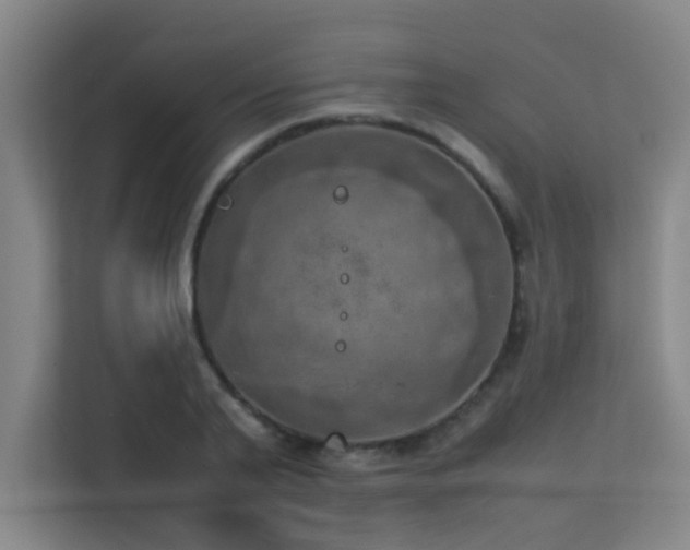 X0000113310791200909141311