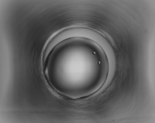 X0000113310792200909141311