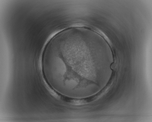 X0000113310795200909141311