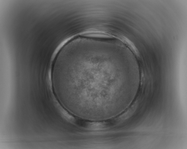 X0000113310796200909141311