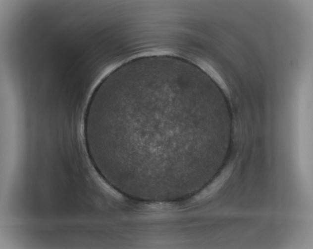 X0000113310797200909141311