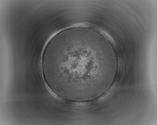 X0000113310800200909141311