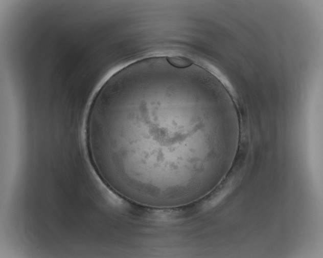 X0000113310803200909141310