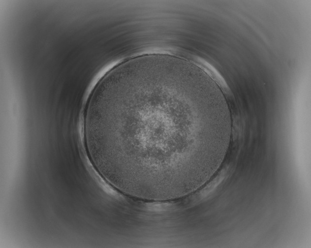 X0000113310804200909141310