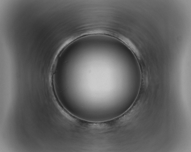 X0000113310805200909141310