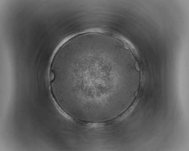 X0000113310808200909141310