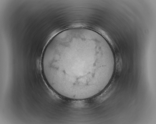 X0000113310810200909141310