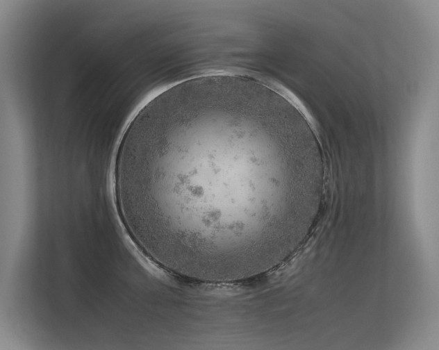 X0000113310811200909141310