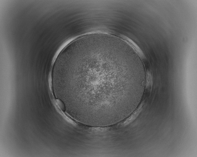 X0000113310812200909141310