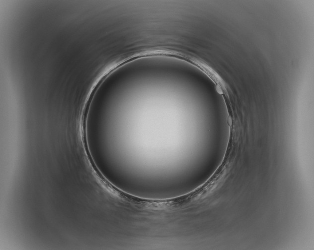 X0000113310813200909141310