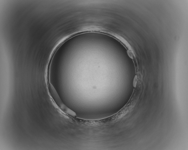 X0000113310815200909141310