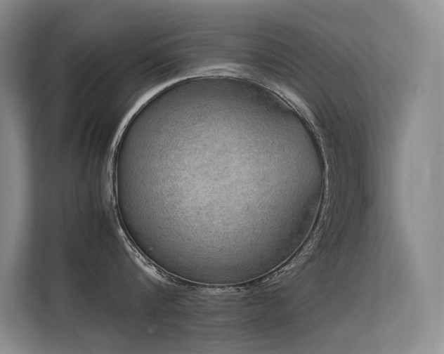 X0000113310816200909141310