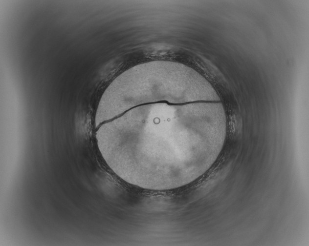 X0000113310820200909141310