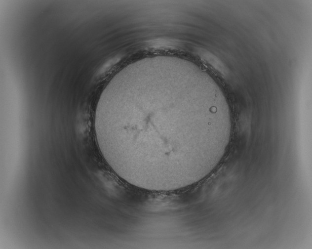 X0000113310824200909141310