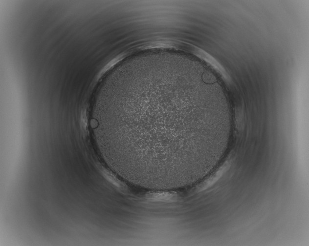 X0000113310826200909141310