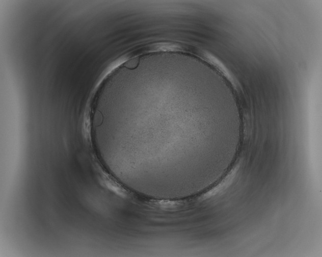 X0000113310827200909141310