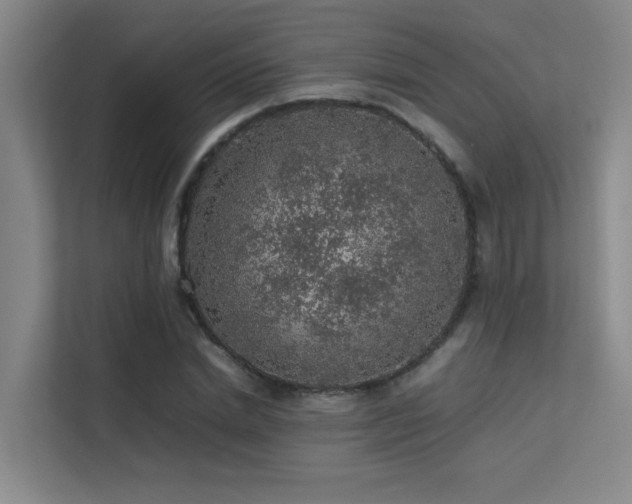 X0000113310830200909141310