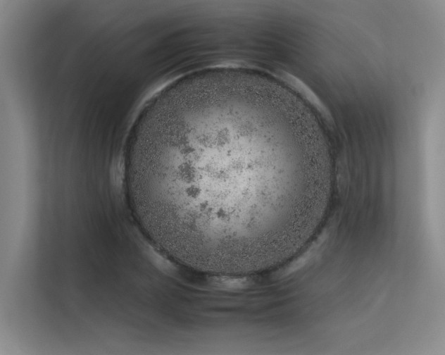 X0000113310831200909141310