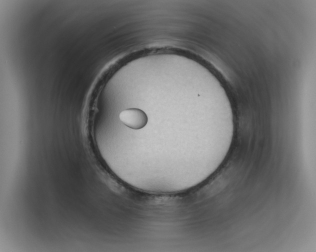 X0000113310832200909141310