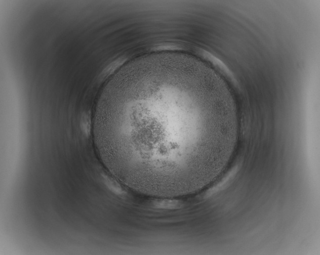 X0000113310833200909141310