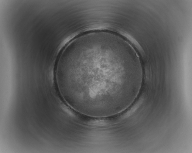 X0000113310834200909141310