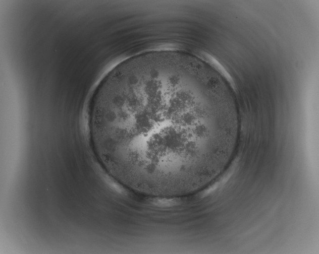 X0000113310835200909141310