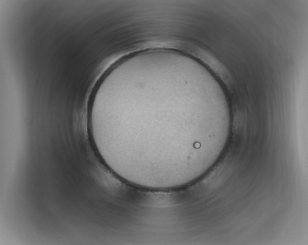 X0000113310836200909141310