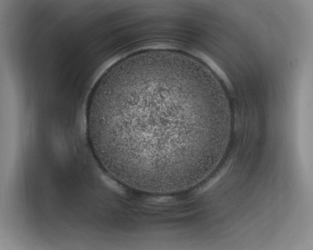 X0000113310837200909141310