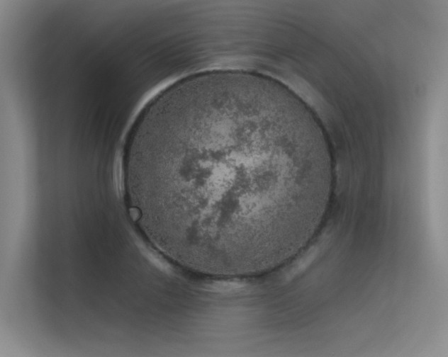 X0000113310838200909141310