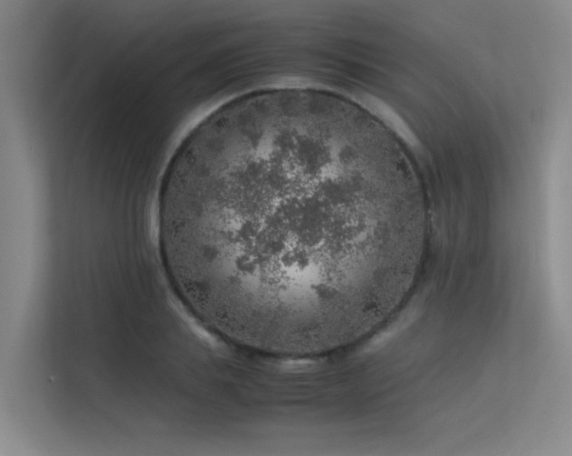 X0000113310839200909141310