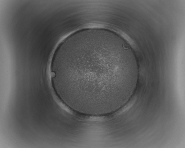 X0000113310840200909141310