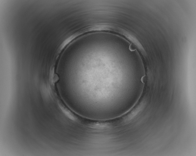 X0000113310842200909141310